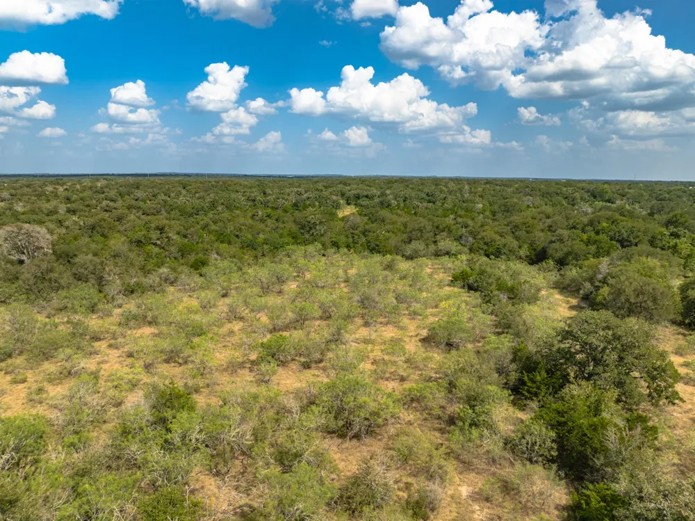Fm 20 Dale, TX 78616