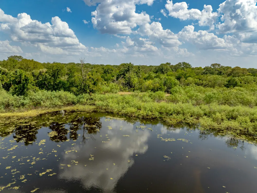 Fm 20 Dale, TX 78616