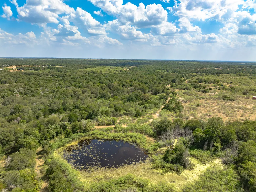 Fm 20 Dale, TX 78616