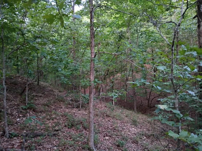 464058 Taylor Ridge Road Proctor, OK 74457