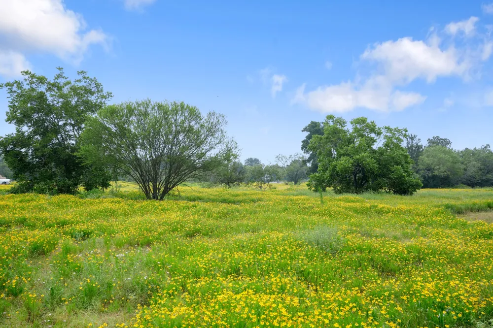 3413 Fm 1185 Lockhart, TX 78644