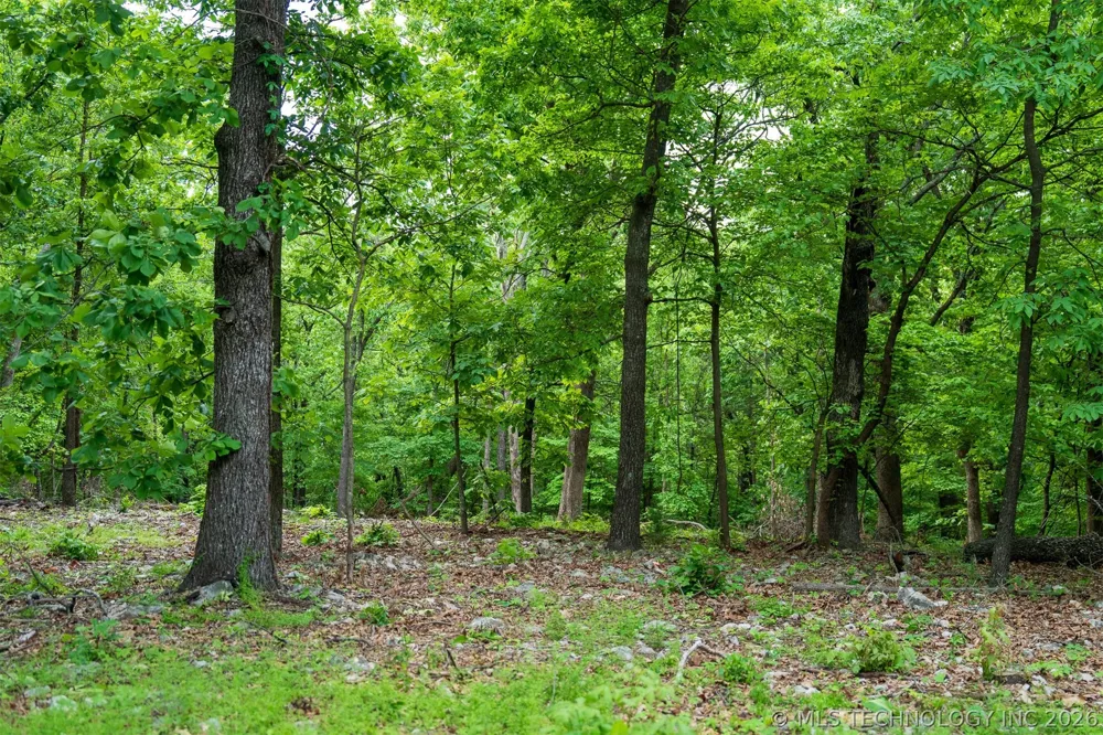 9 Skyline Drive Afton, OK 74331