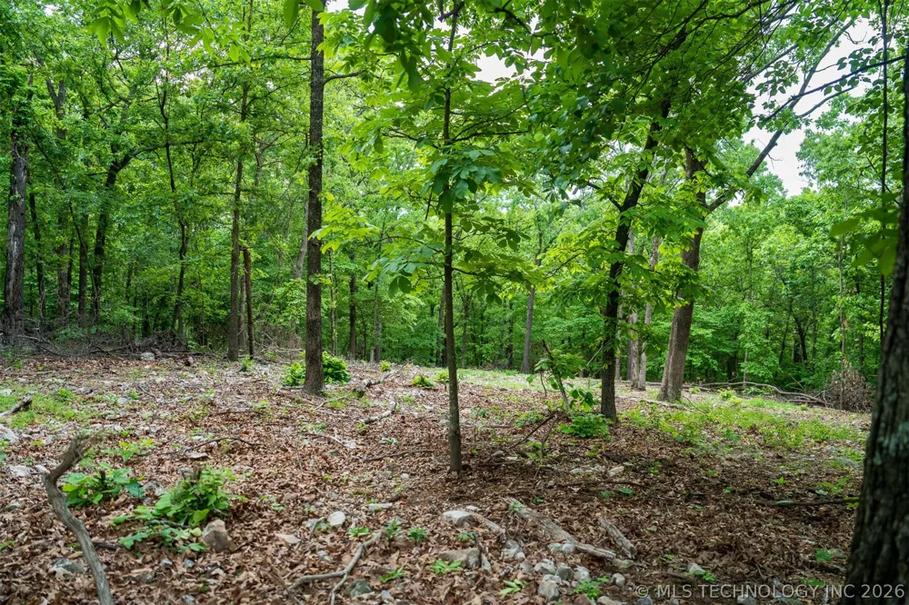 9 Skyline Drive Afton, OK 74331