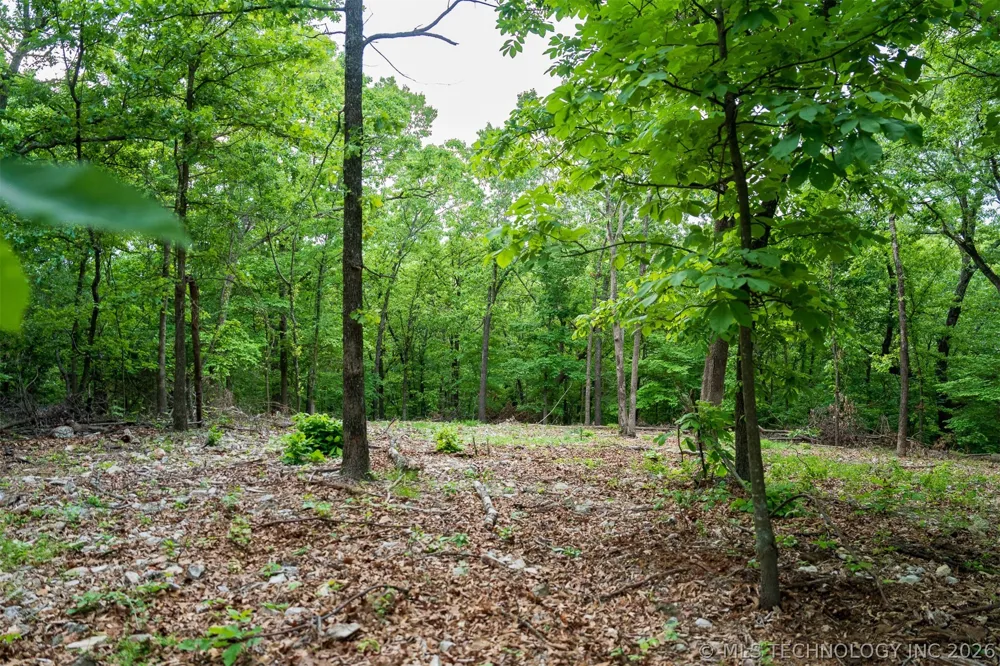 9 Skyline Drive Afton, OK 74331