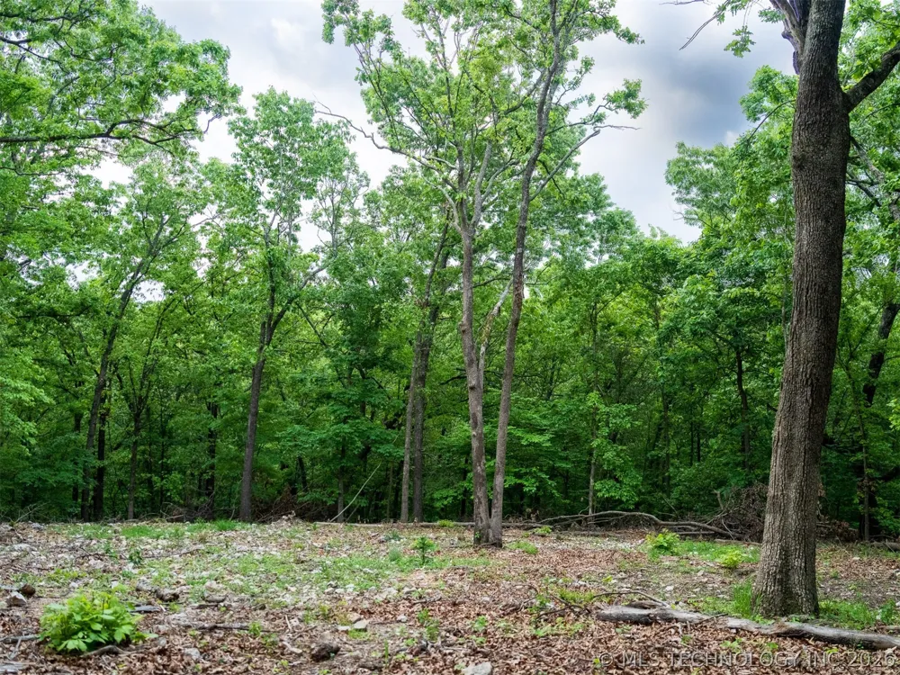 9 Skyline Drive Afton, OK 74331