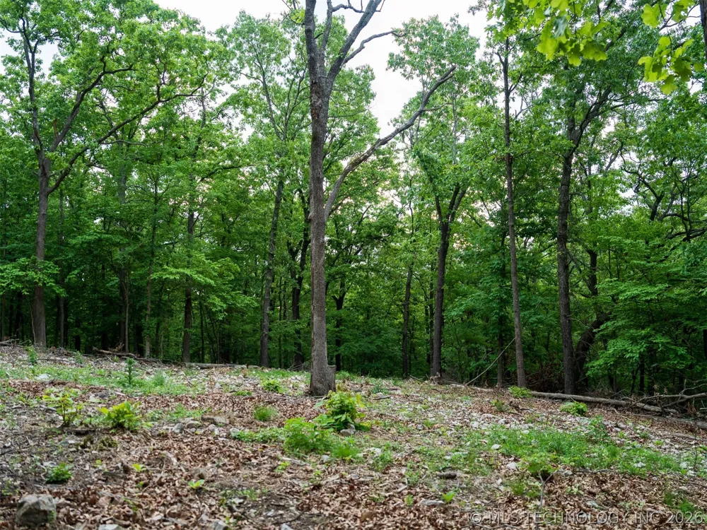 9 Skyline Drive Afton, OK 74331