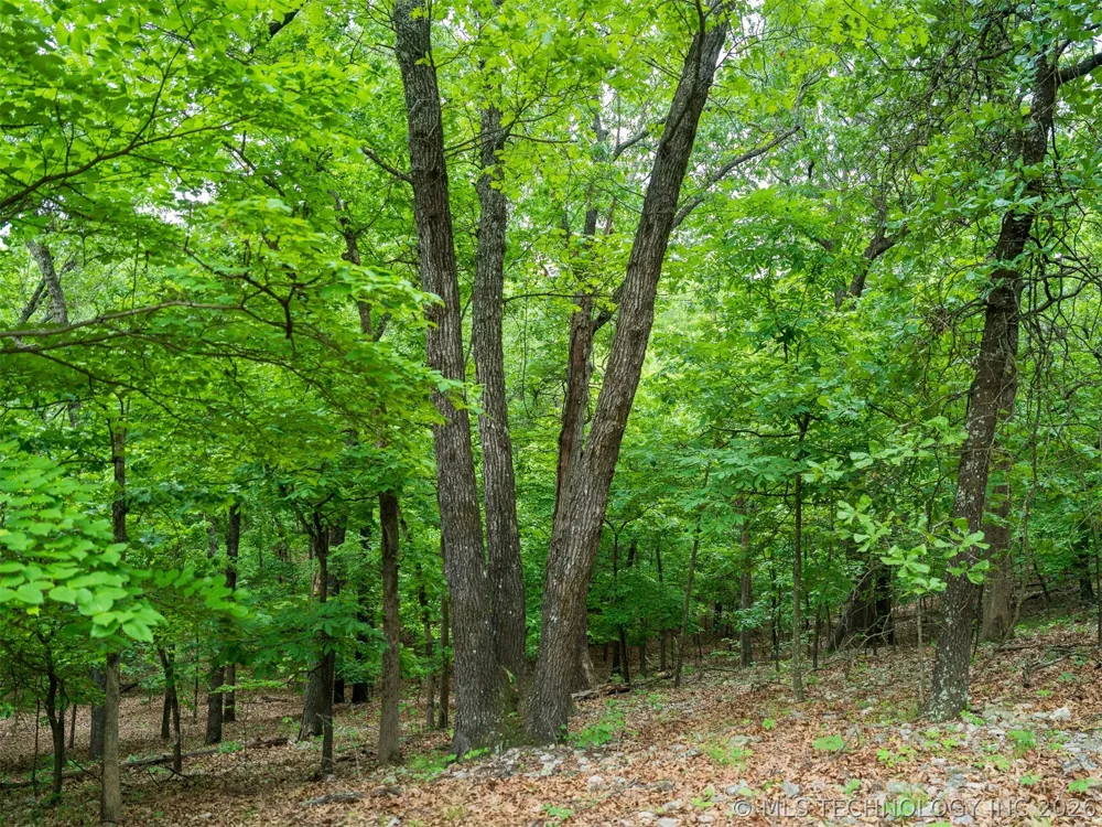 9 Skyline Drive Afton, OK 74331