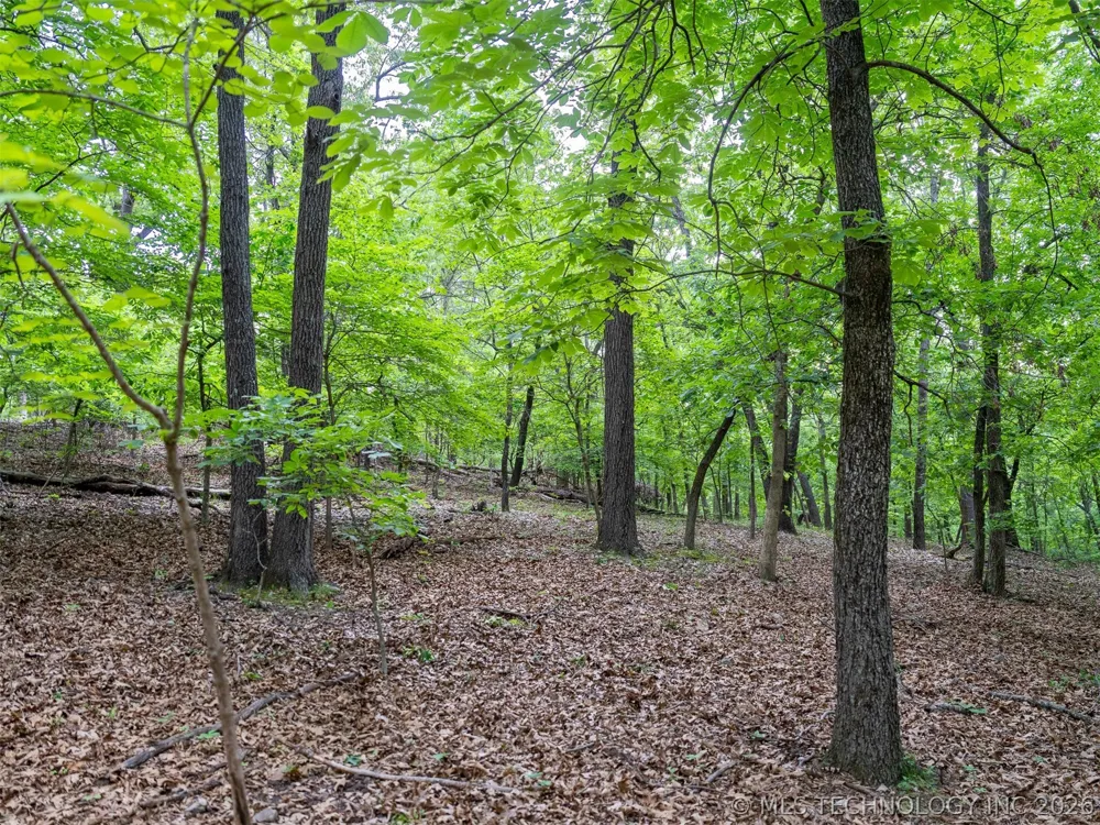 9 Skyline Drive Afton, OK 74331