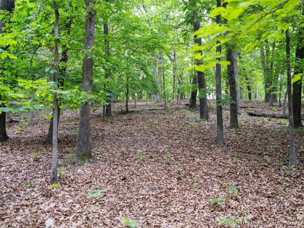 9 Skyline Drive Afton, OK 74331