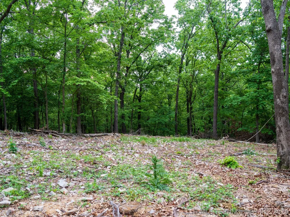 9 Skyline Drive Afton, OK 74331
