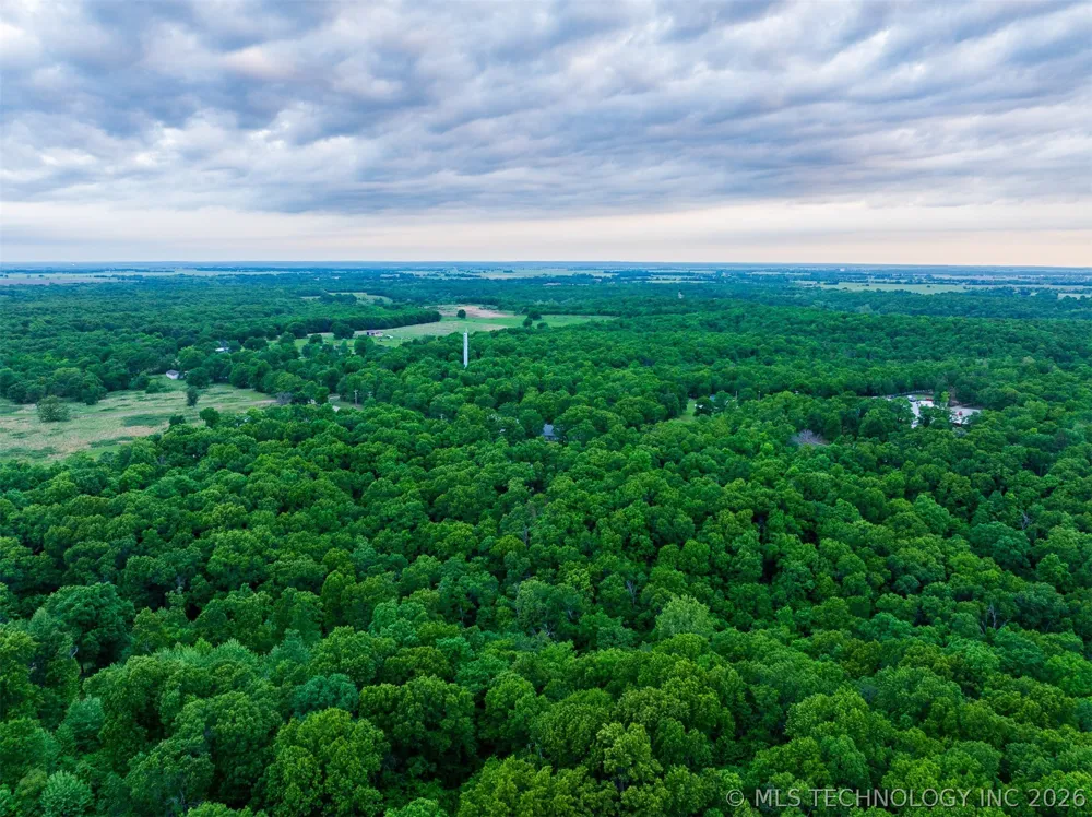 9 Skyline Drive Afton, OK 74331