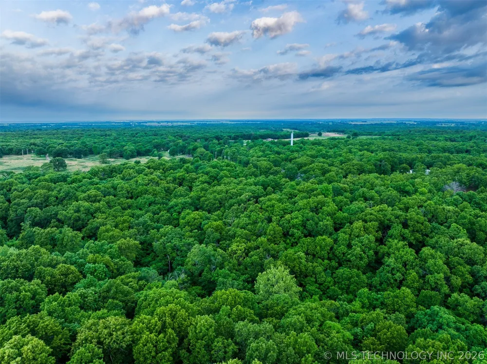 9 Skyline Drive Afton, OK 74331