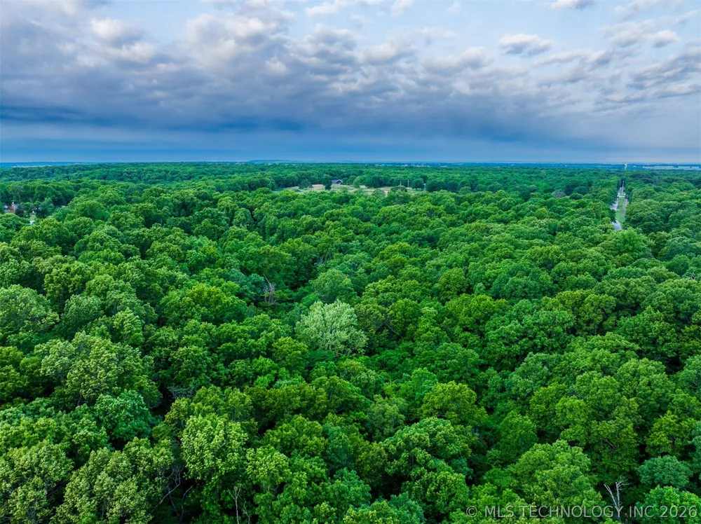 9 Skyline Drive Afton, OK 74331