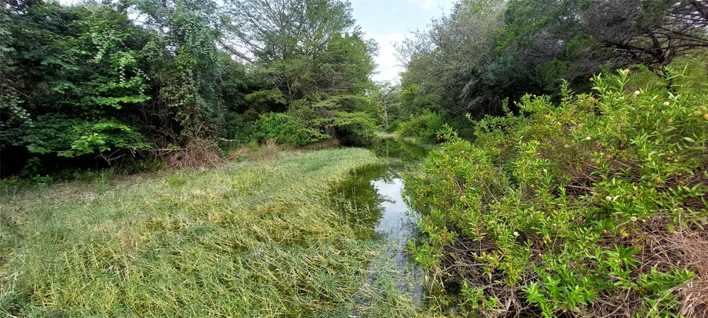 Brinkley Drive Wimberley, TX 78676