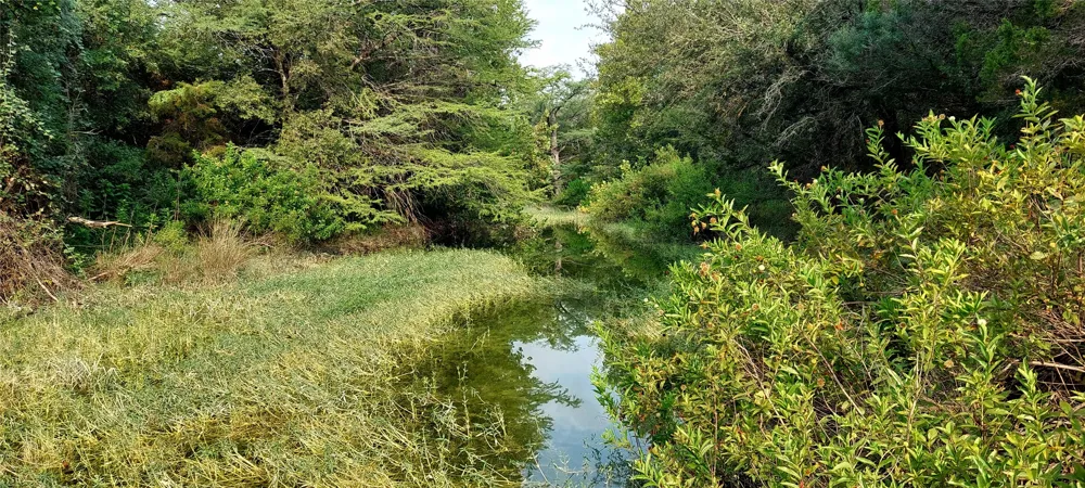 Brinkley Drive Wimberley, TX 78676