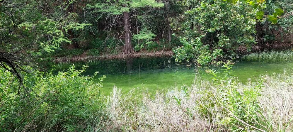 Brinkley Drive Wimberley, TX 78676