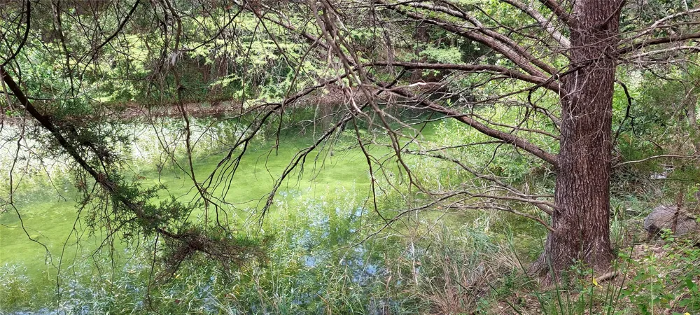 Brinkley Drive Wimberley, TX 78676