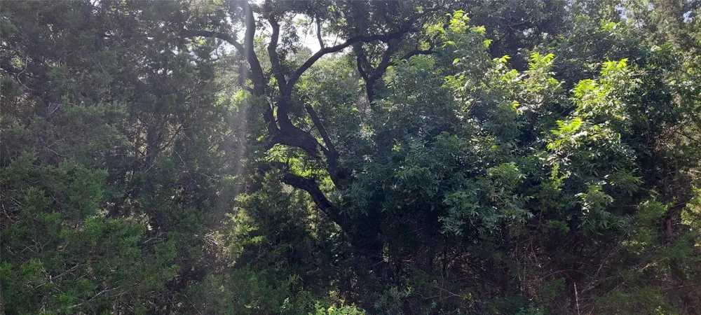 Brinkley Drive Wimberley, TX 78676