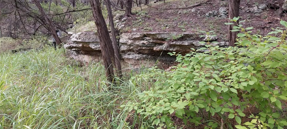 Brinkley Drive Wimberley, TX 78676