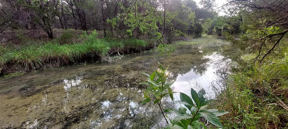 Brinkley Drive Wimberley, TX 78676