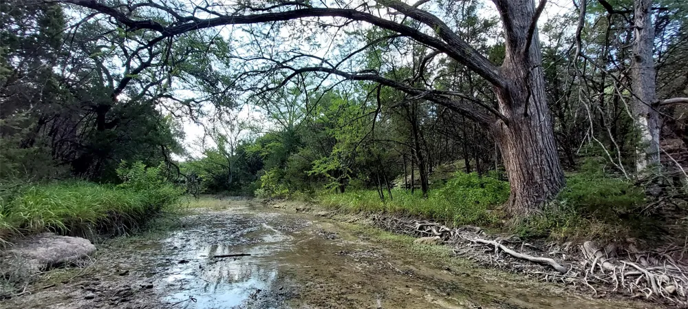 Brinkley Drive Wimberley, TX 78676