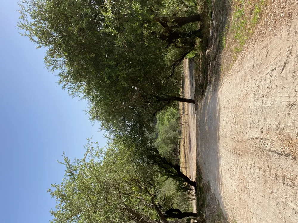 6709 Singleton Bend Road #4 Marble Falls, TX 78654