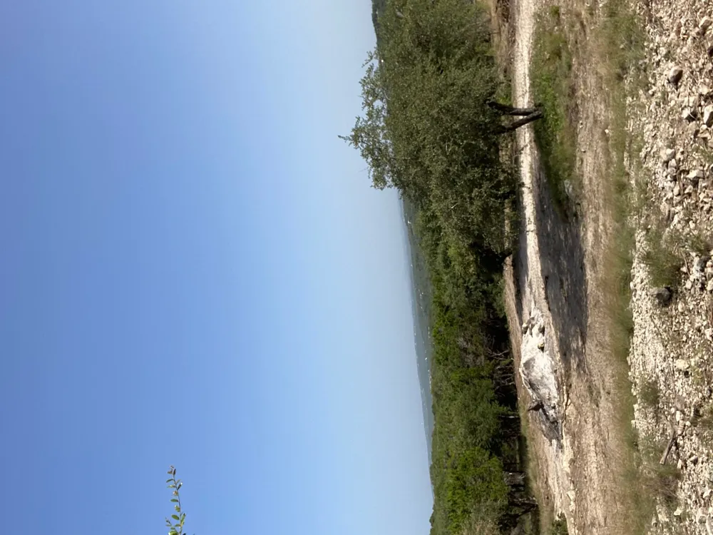 6709 Singleton Bend Road #4 Marble Falls, TX 78654