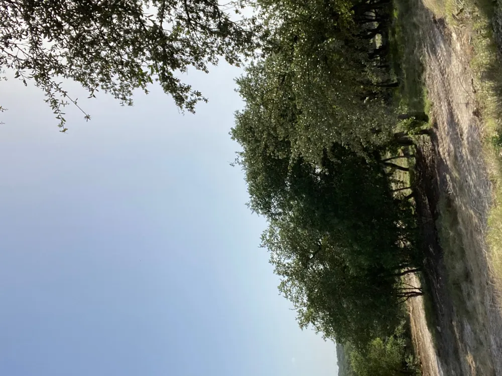 6709 Singleton Bend Road #4 Marble Falls, TX 78654