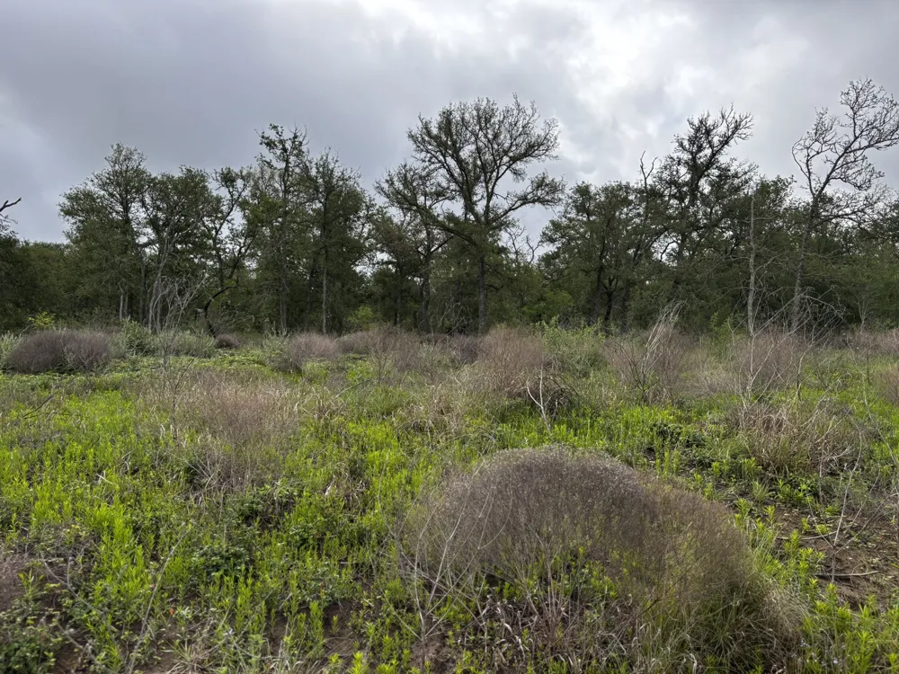615 County Road 467 Thrall, TX 76578