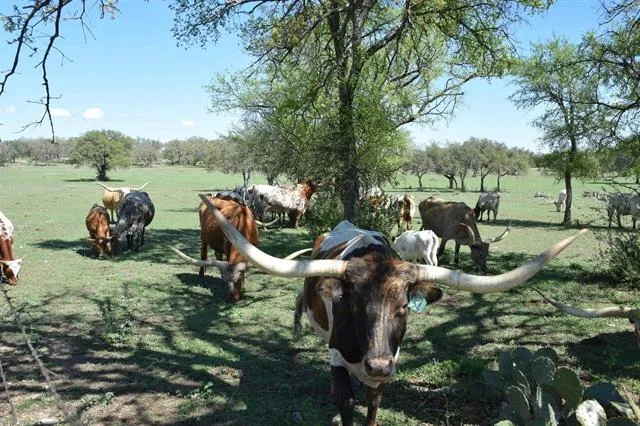 2116 County Road 403 Marble Falls, TX 78654