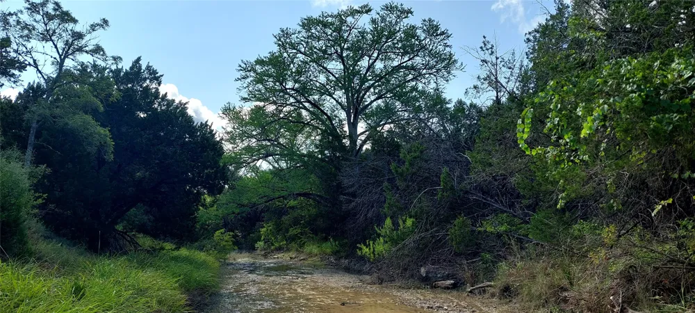 Brinkley Drive Wimberley, TX 78676
