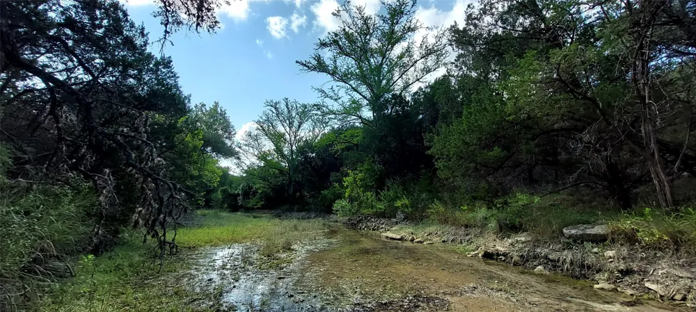 Brinkley Drive Wimberley, TX 78676