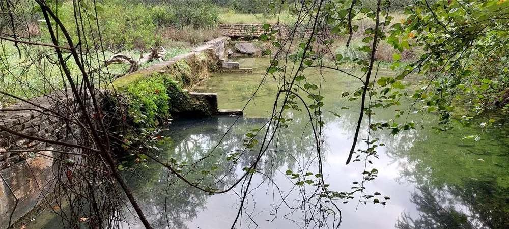 Brinkley Drive Wimberley, TX 78676