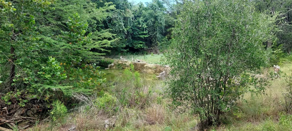 Brinkley Drive Wimberley, TX 78676