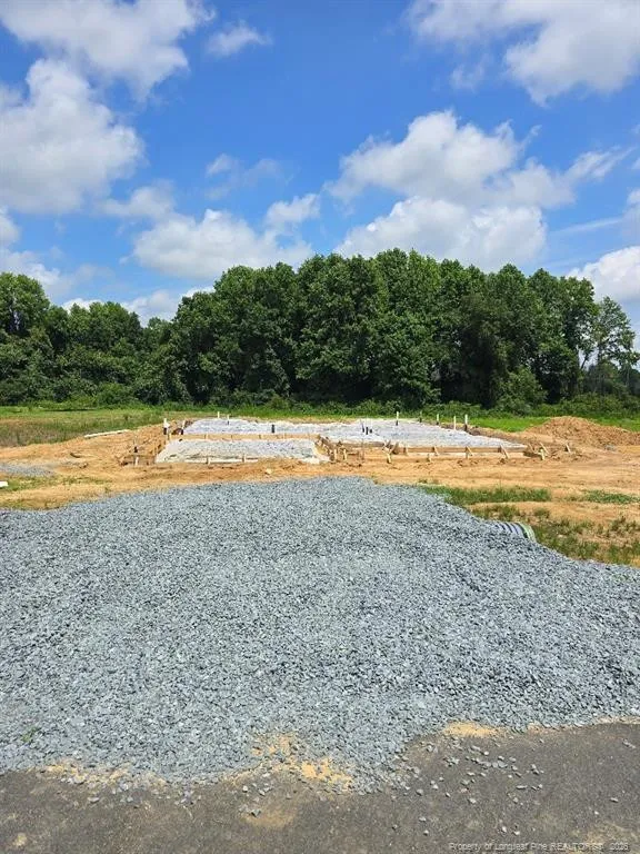 297 Margot Manor Drive Benson, NC 27504