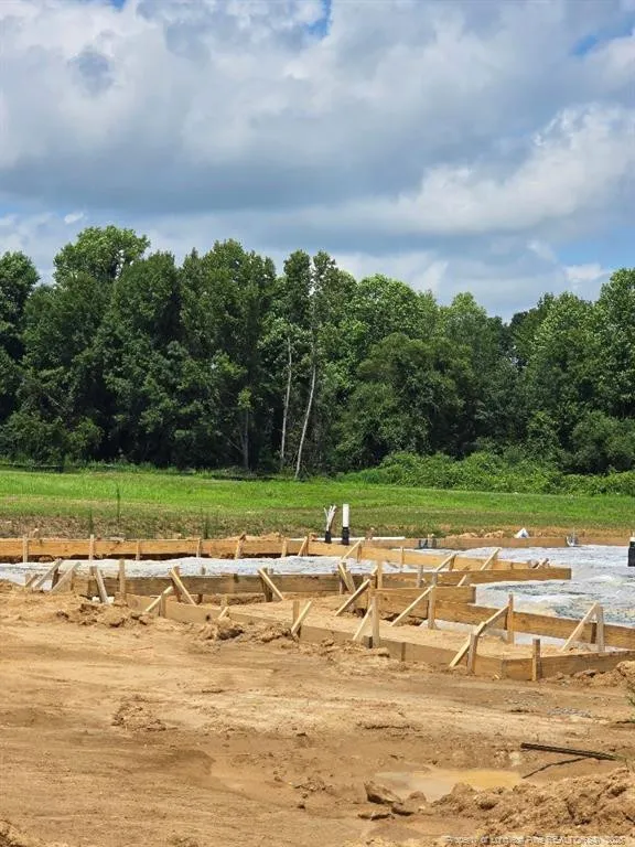 297 Margot Manor Drive Benson, NC 27504