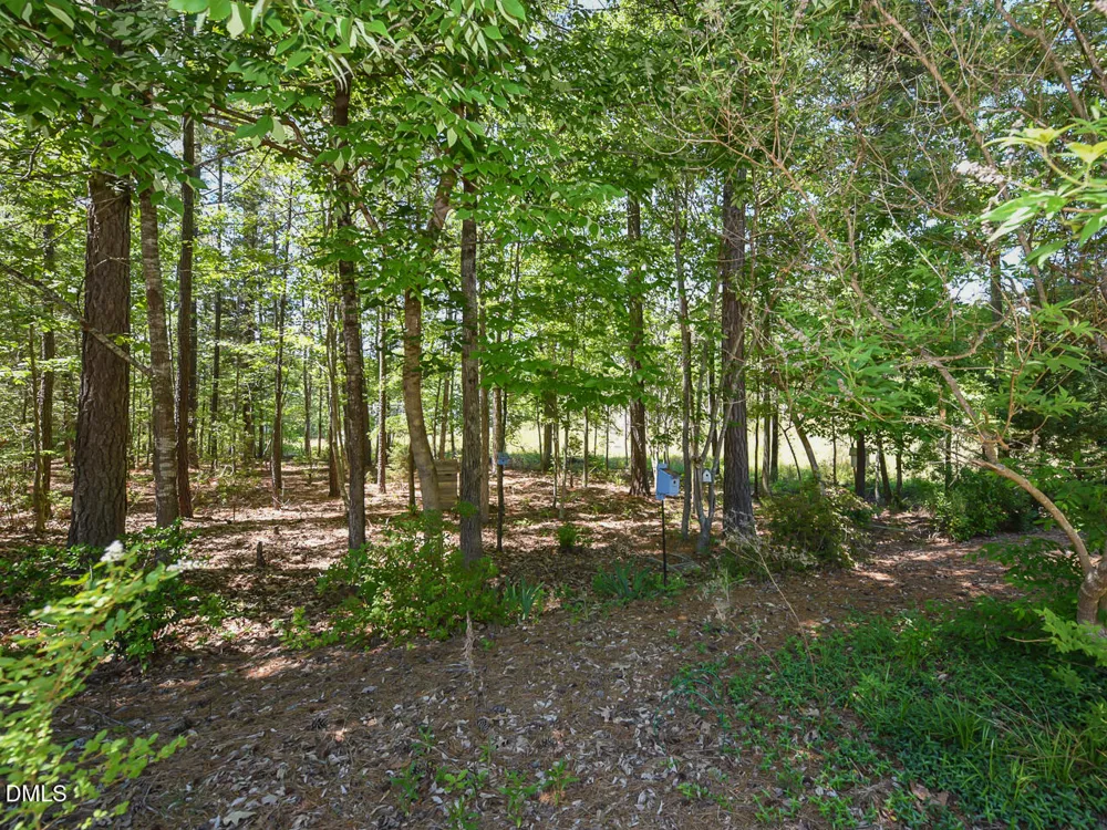 242 Hales Wood Road Chapel Hill, NC 27517