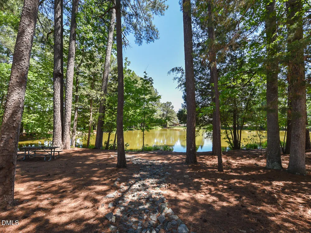 242 Hales Wood Road Chapel Hill, NC 27517