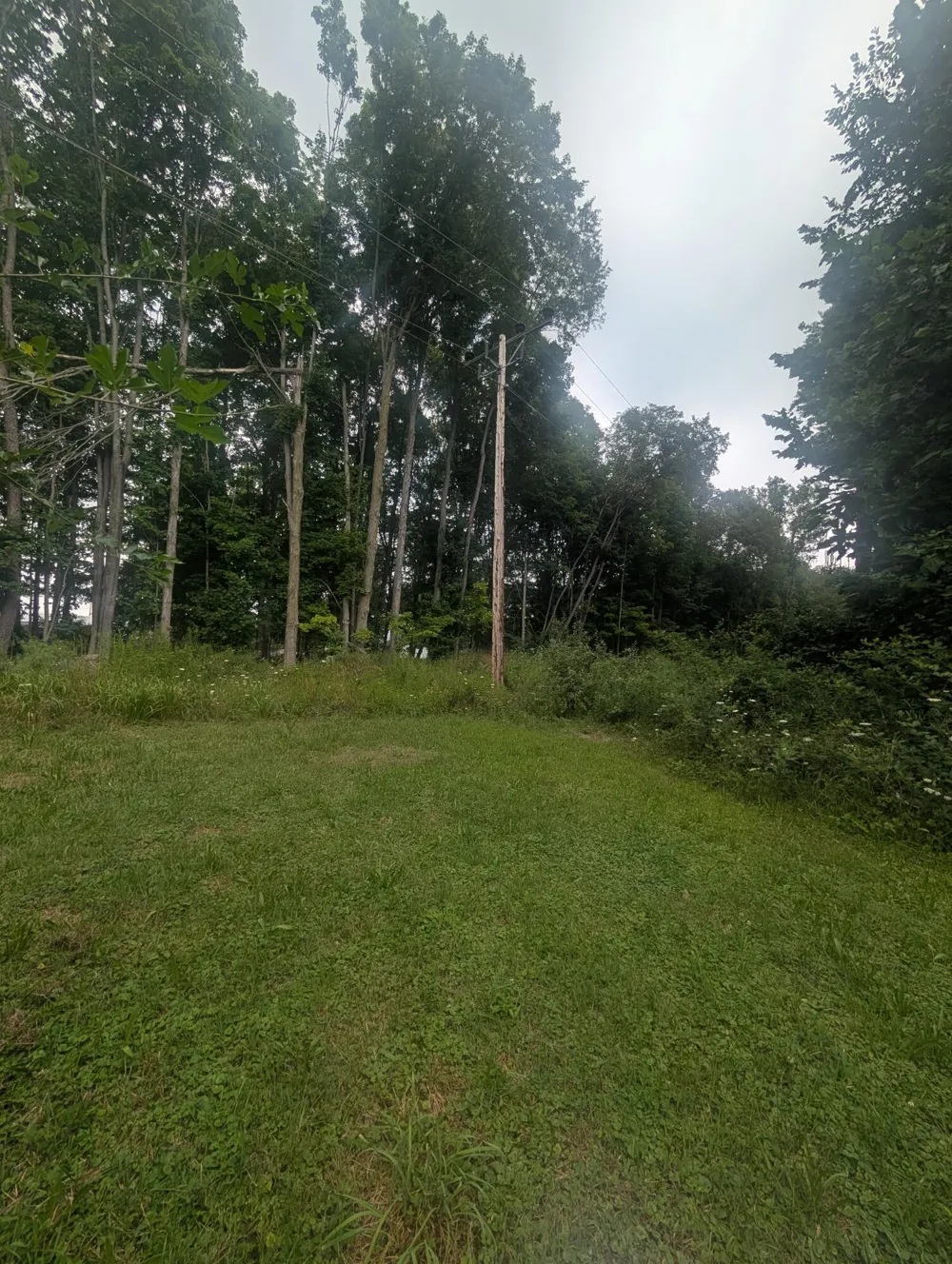 215 S Monroe Street Bloomingdale Township, MI 49026