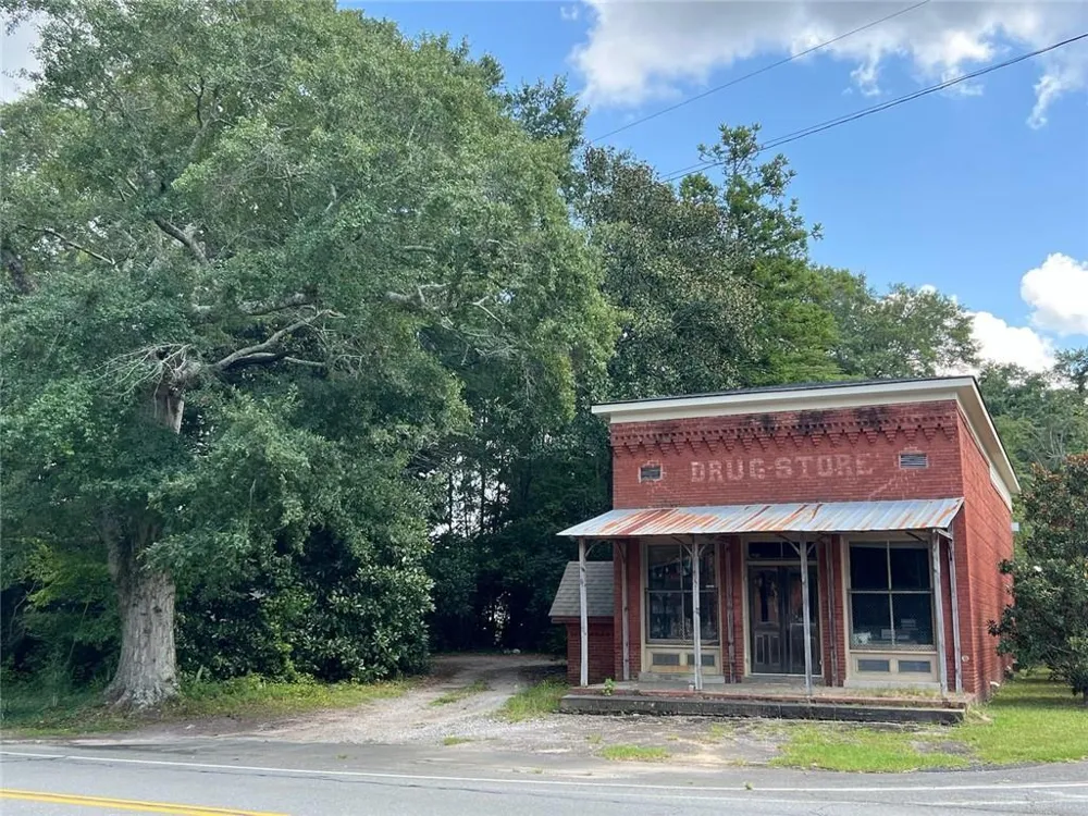1060 Hill Street Concord, GA 30206