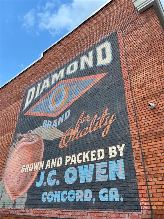 1060 Hill Street Concord, GA 30206