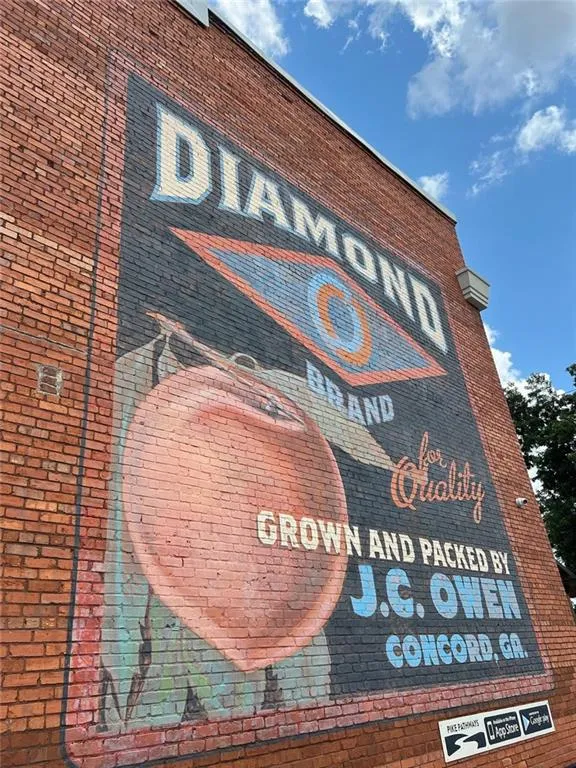 1060 Hill Street Concord, GA 30206
