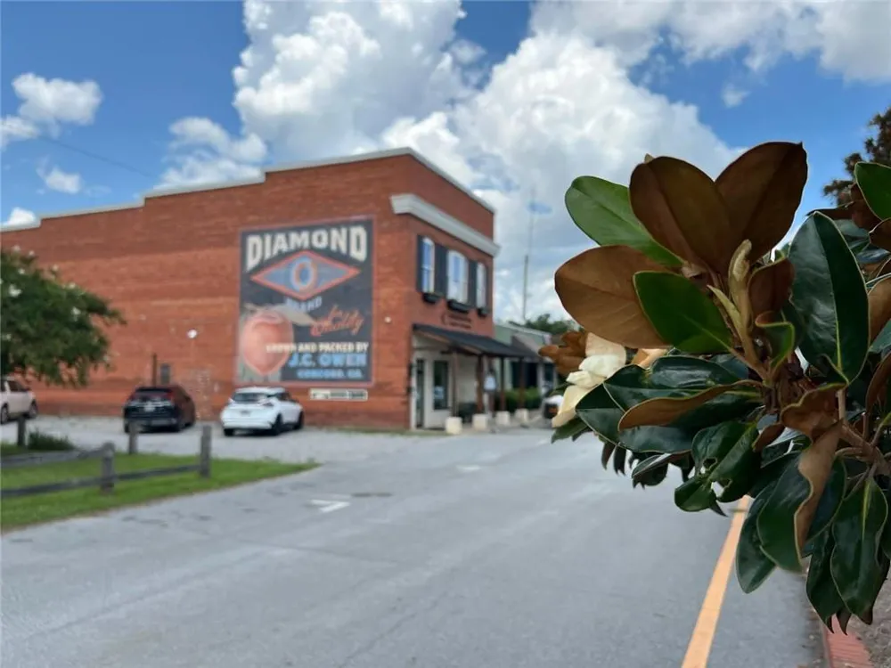 1060 Hill Street Concord, GA 30206