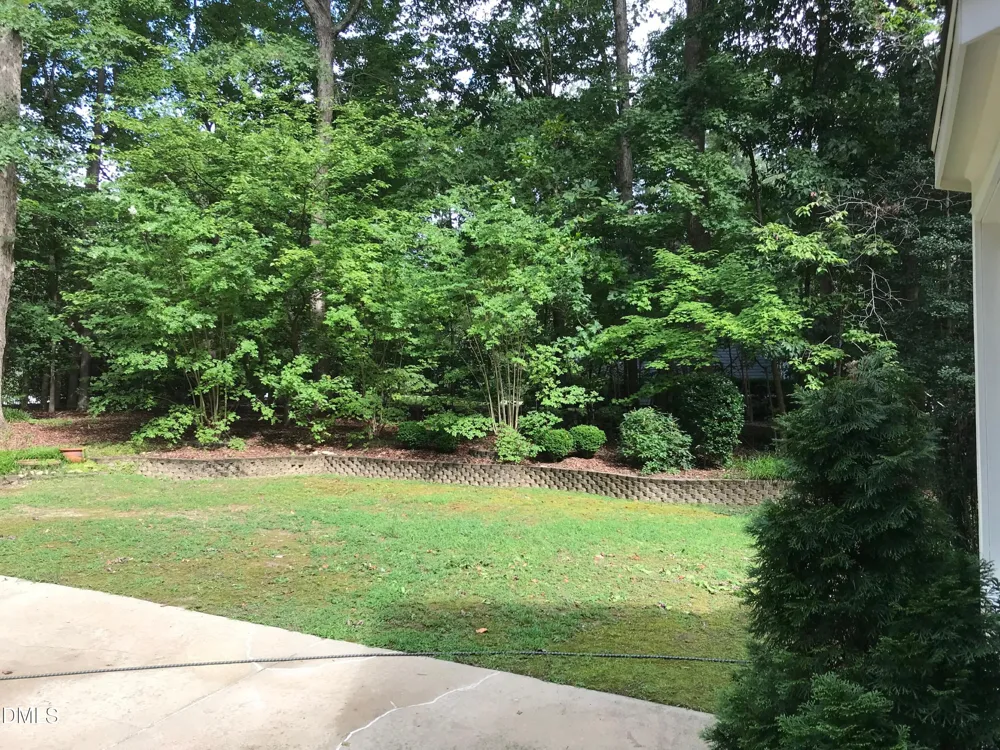 225 Tamworth Drive Willow Springs, NC 27592