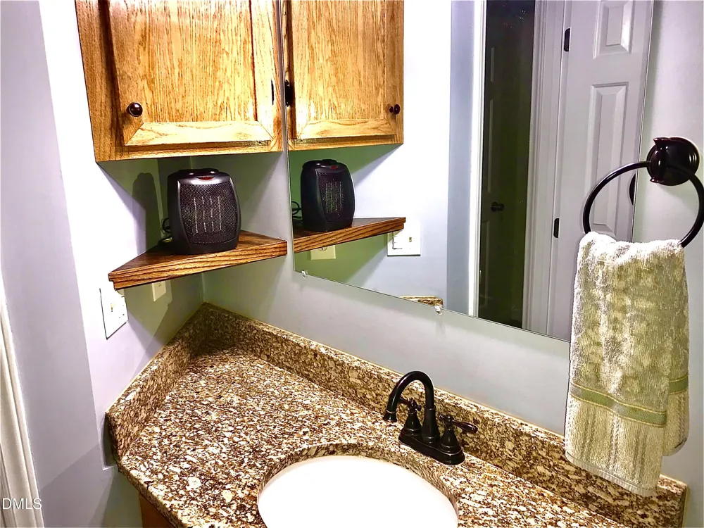 225 Tamworth Drive Willow Springs, NC 27592