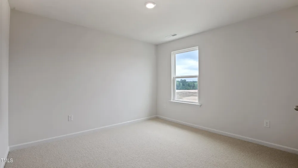 713 Sparkling Pear Drive Willow Springs, NC 27592