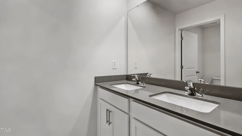 713 Sparkling Pear Drive Willow Springs, NC 27592