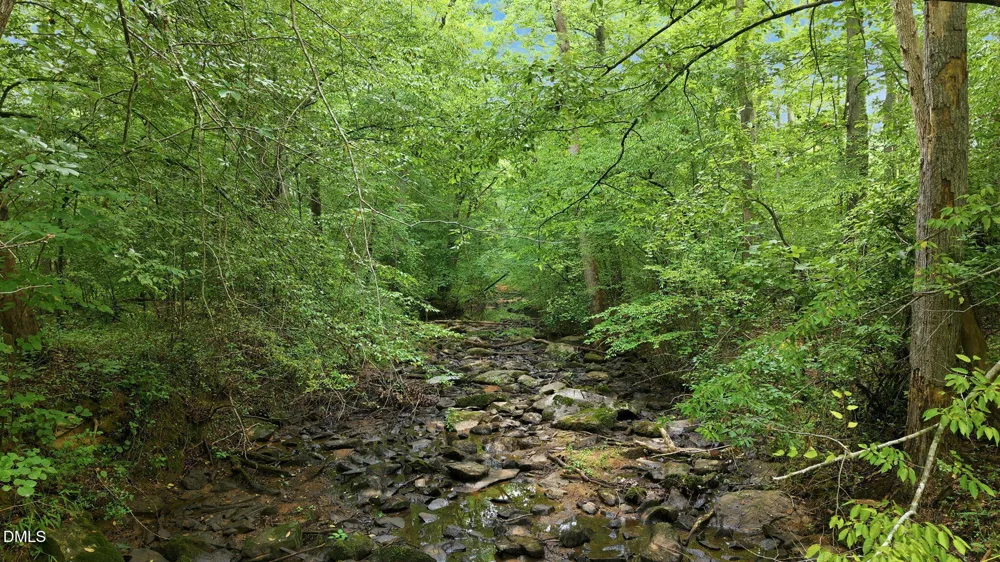 70 Strawberry Springs Drive Hurdle Mills, NC 27541