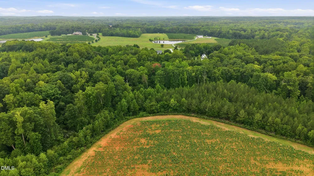 70 Strawberry Springs Drive Hurdle Mills, NC 27541