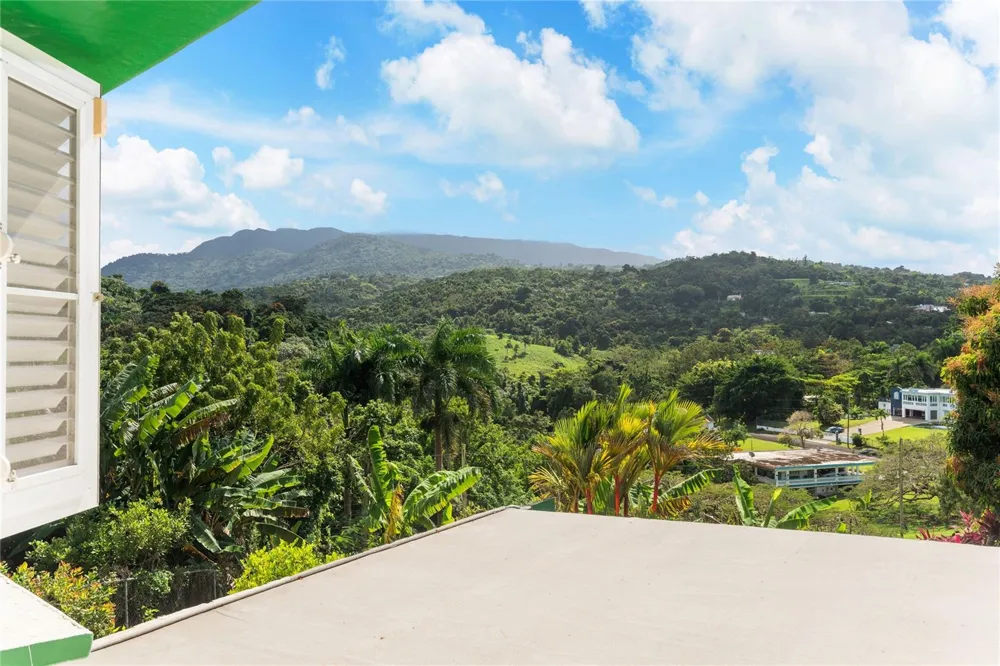 59 REINA ISABEL Rio Grande, PR 00745